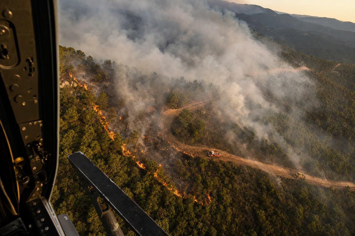 Lisière de feu entaillant les pins du massif des Maures, pare‑feux DFCI visibles depuis l’hélicoptère.