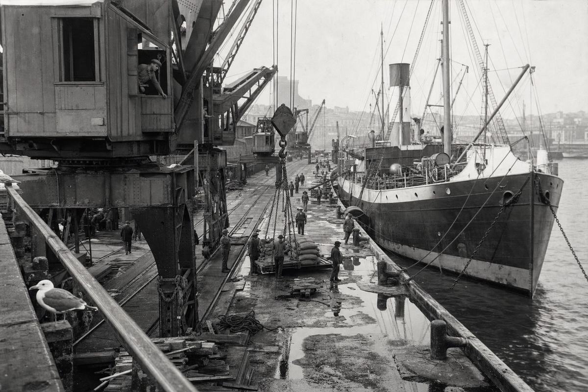 Silver gelatin print, late 1920s–early 1930s, La Joliette docks, panoramic sweep from a slightly elevated catwalk: electric portal cranes staggered along the quay, a liner's bow moored to massive bollards, coiled hawsers and puddles reflecting mast rigging; crane operator leaning from a cabin window as the hook swings toward a pallet; fine grain from a large-format 9x12 cm plate negative, deep tonal range with oily blacks and bright zinc highlights; 90mm lens, deep focus, slight edge softness from contact print; dockworkers in caps moving at different paces, distinct faces and builds; incidental details of salt crust, gull on a railing, scattered wood scraps; no visible lettering or signage.