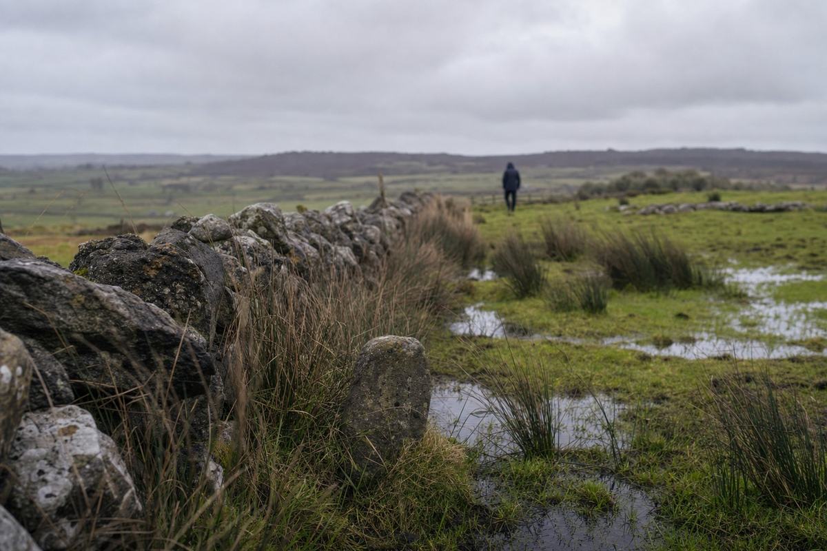 View from Kilcommadan Hill over wet fields and a rough boundary wall at Aughrim under low cloud.