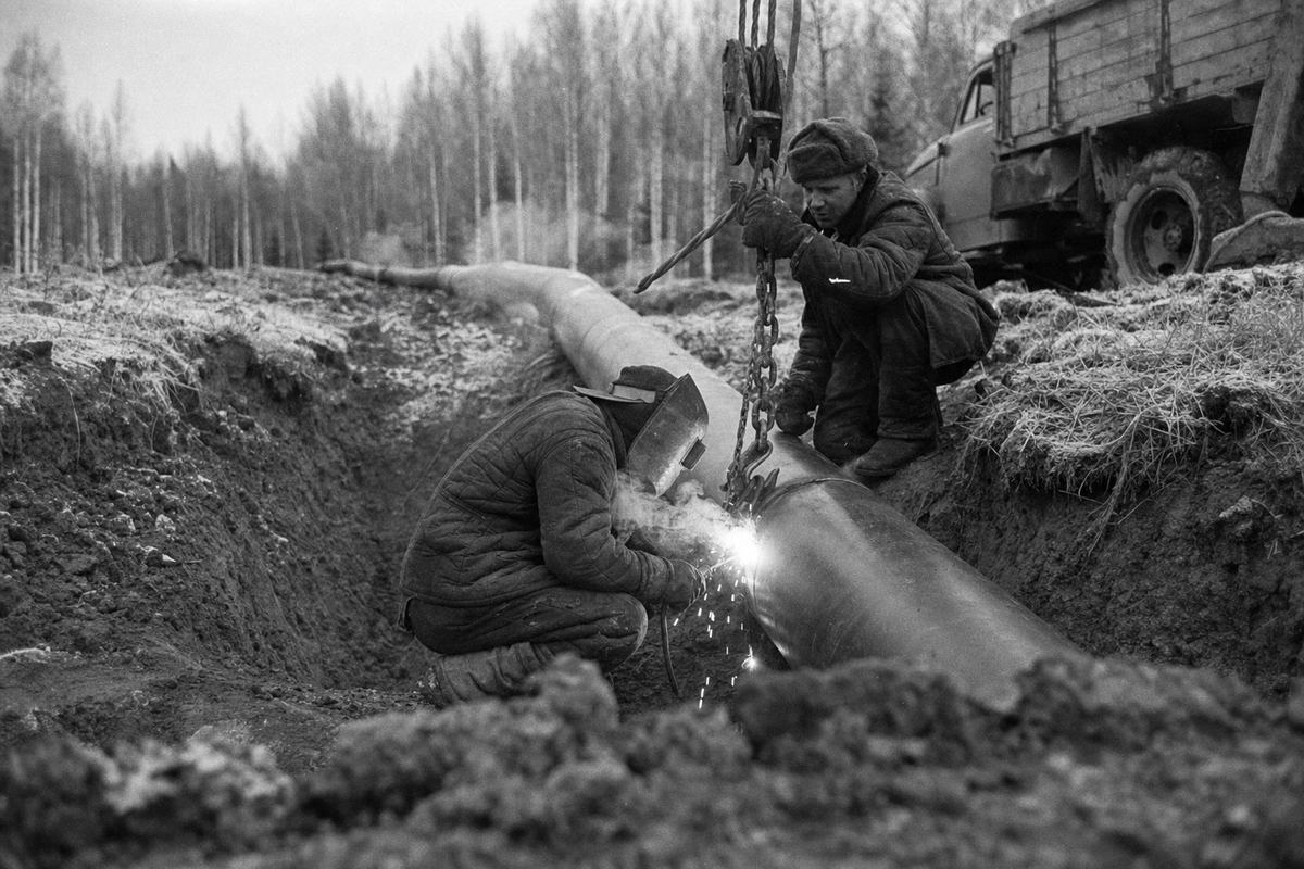 Black-and-white press photograph (1956) of Volga–Central Europe pipeline construction: a welder in a padded jacket kneels at the lip of a muddy trench, arc-welding two large-diameter pipe sections while a second worker steadies a chain hoist. Shot low from the opposite berm with a 35mm rangefinder camera on Kodak Tri‑X film; gritty grain, strong midtone contrast, faint motion blur on sparks; breath vapor visible in cold air; clumps of wet soil on boots, frost on grass. Background shows a curve of pipe sections leading toward a stand of birch trees and a parked lorry cropped at the edge; no text, logos, or signage visible.